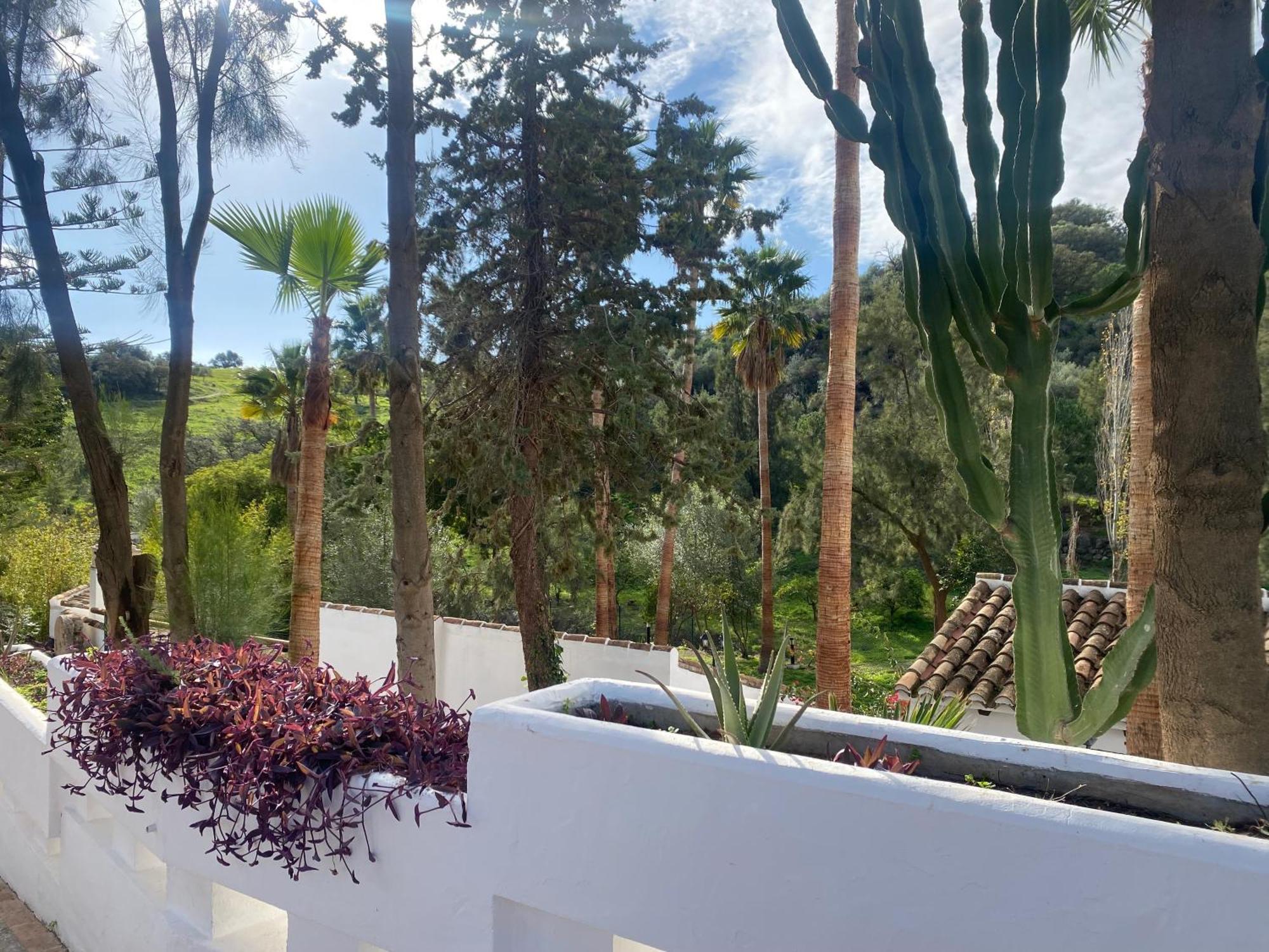 Malaga Sierra De Las Nieves By Real Spain Hotels Adults Recommended Casarabonela Esterno foto