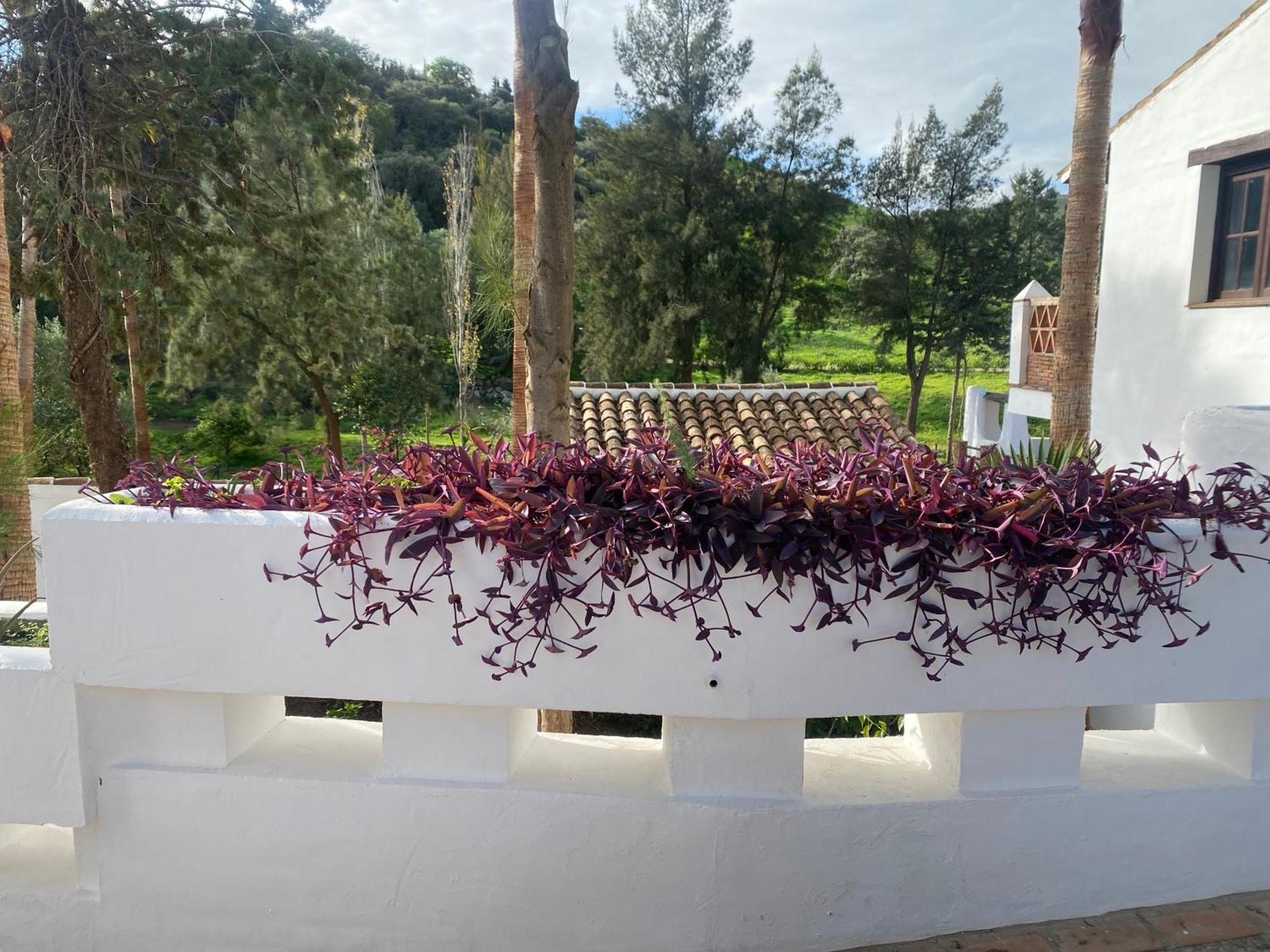 Malaga Sierra De Las Nieves By Real Spain Hotels Adults Recommended Casarabonela Esterno foto